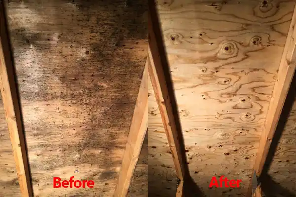 water damage restoration service Thiells